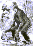 أردي والجدل حول نظرية داروين