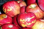 - مزارع من السويداء يبتكر طريقة لإظهار أسماء وعبارات محددة على ثمار التفاح